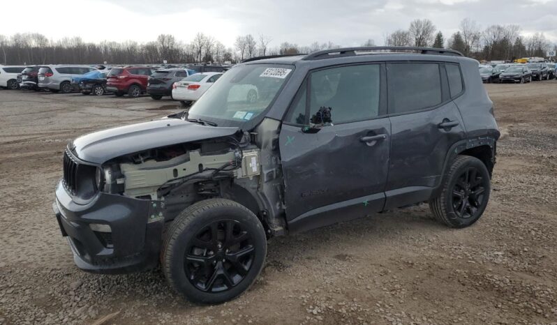 
								JEEP RENEGADE full									