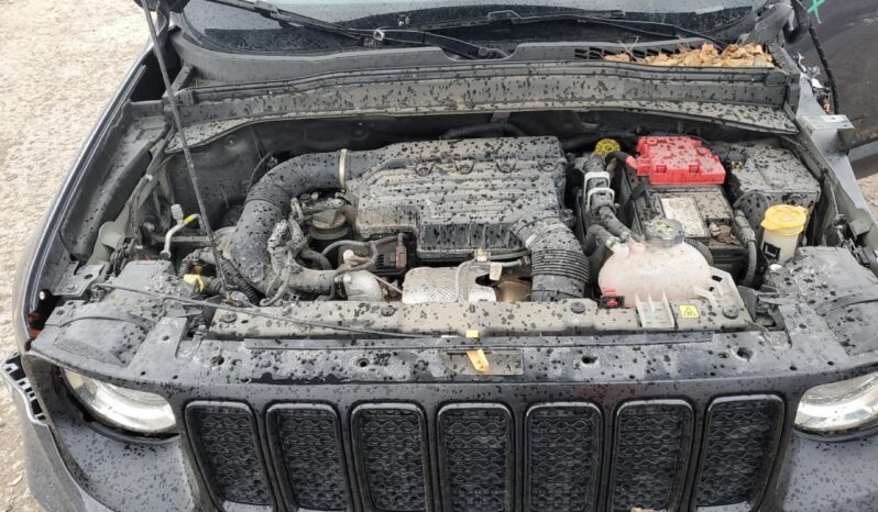 
								JEEP RENEGADE full									
