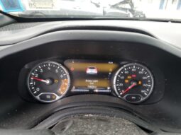 
										JEEP RENEGADE full									