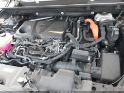 
										TOYOTA RAV-4 full									
