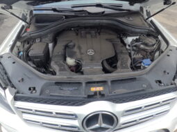 
										MERCEDES GLS450 full									