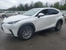 LEXUS NX300