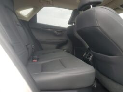 
										LEXUS NX300 full									