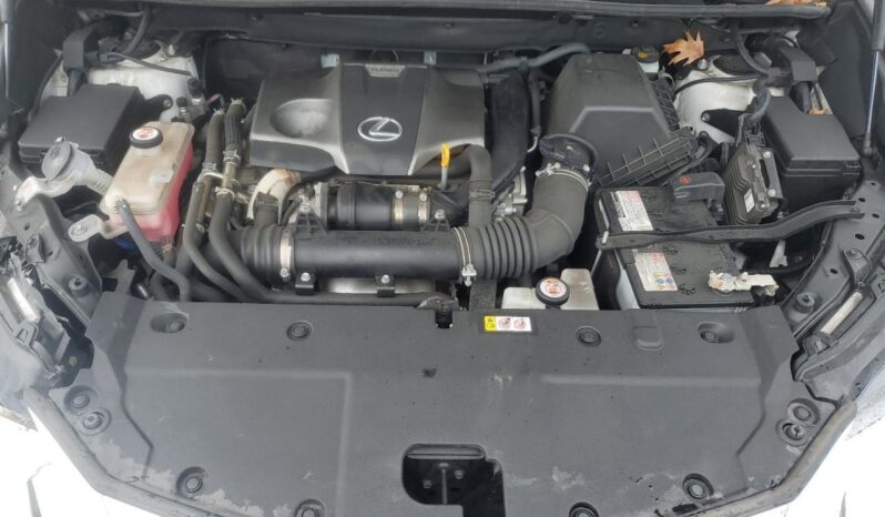 
								LEXUS NX300 full									