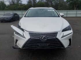 LEXUS NX300