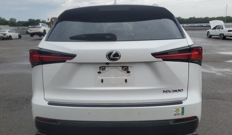 
								LEXUS NX300 full									