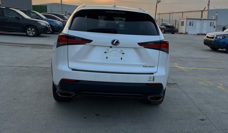 
								LEXUS NX300 full									