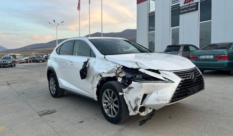 avto auqcioni amerika