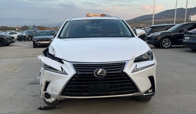 
								LEXUS NX300 full									