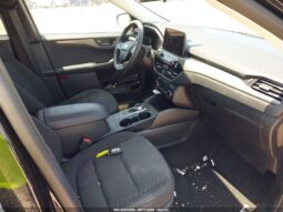 
										Ford Escape full									