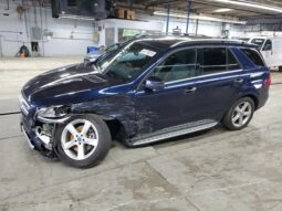 
										MERCEDES-BENZ GLE full									