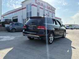 
										MERCEDES-BENZ GLE350 full									