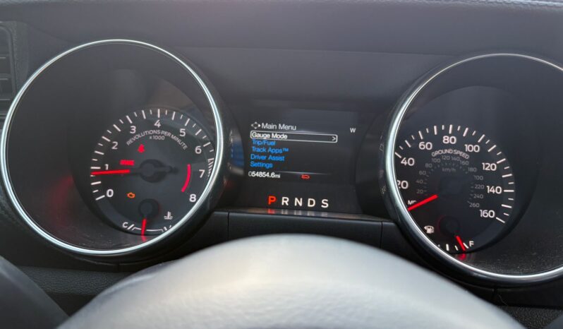 
								FORD MUSTANG full									