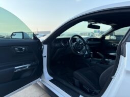 
										FORD MUSTANG full									