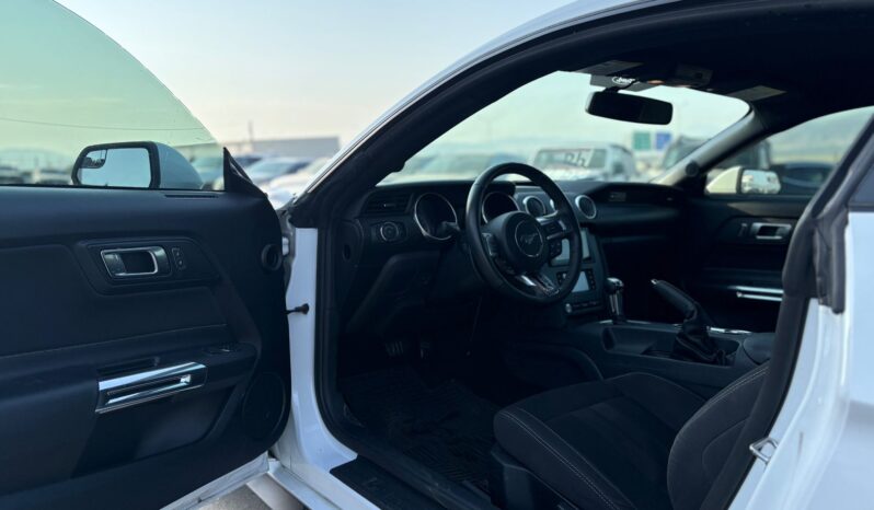 
								FORD MUSTANG full									