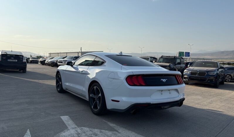 
								FORD MUSTANG full									