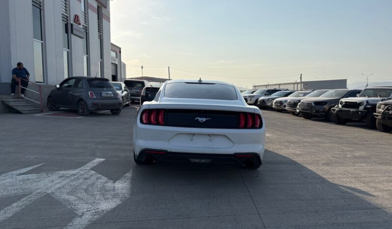 
								FORD MUSTANG full									