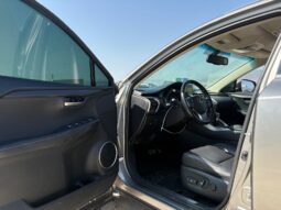 
										LEXUS NX200T full									
