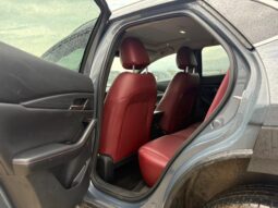 
										MAZDA CX-30 full									