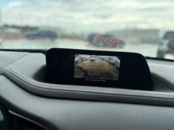 
										MAZDA CX-30 full									