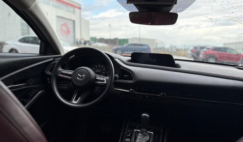 
								MAZDA CX-30 full									