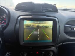 
										JEEP RENEGADE full									