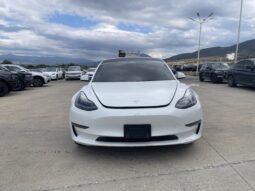 
										TESLA MODEL 3 full									
