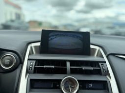 
										LEXUS NX 200T full									