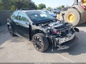 2022 Lexus UX 250h
