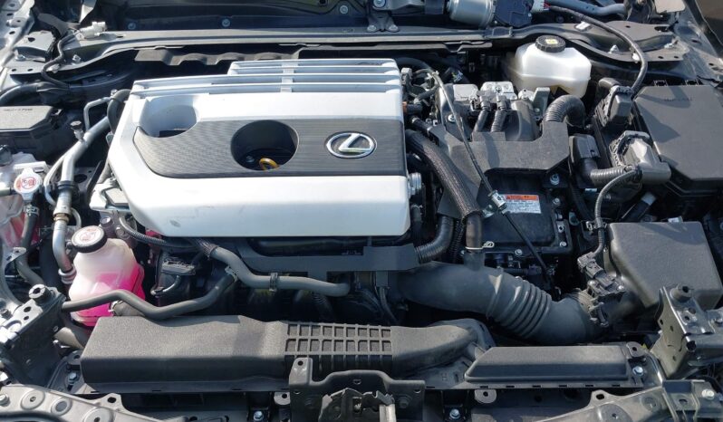 
								2022 Lexus UX 250h full									