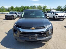 
										Chevrolet Trailblazer full									