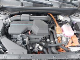 
										Kia Sportage full									