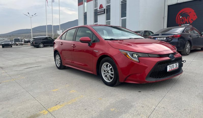 ამერიკის ავტო აუქციონი