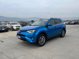 
										TOYOTA RAV4 full									