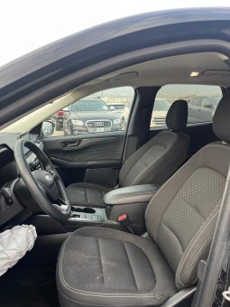 
										Ford Escape full									