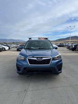 
										Subaru Forester full									