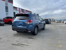 
										Subaru Forester full									