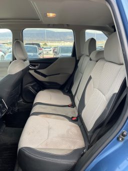 
										Subaru Forester full									