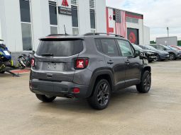 
										Jeep Renegade full									