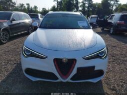 
										2019 Alfa Romeo Stelvio full									