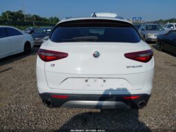 
										2019 Alfa Romeo Stelvio full									