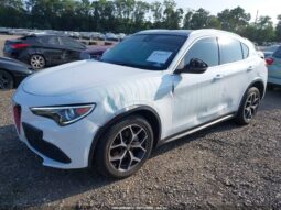 
										2019 Alfa Romeo Stelvio full									