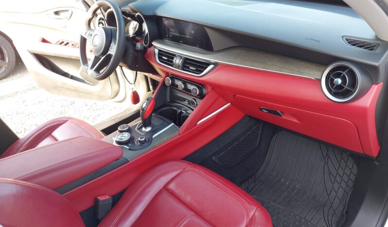 
								2019 Alfa Romeo Stelvio full									