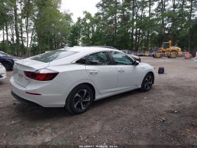 2022 Honda Insight
