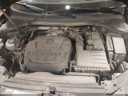 
										Volkswagen Tiguan full									