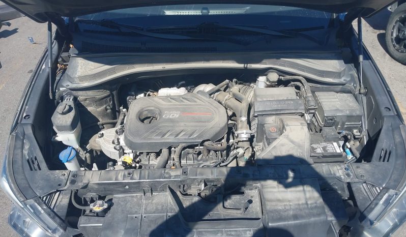 
								Hyundai Santa Fe full									