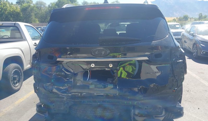 
								Hyundai Santa Fe full									