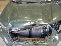 
										Subaru Forester full									