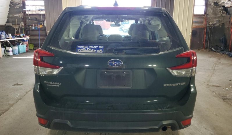 
								Subaru Forester full									