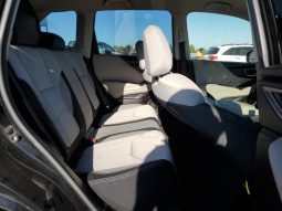 
										2019 Subaru Forester full									